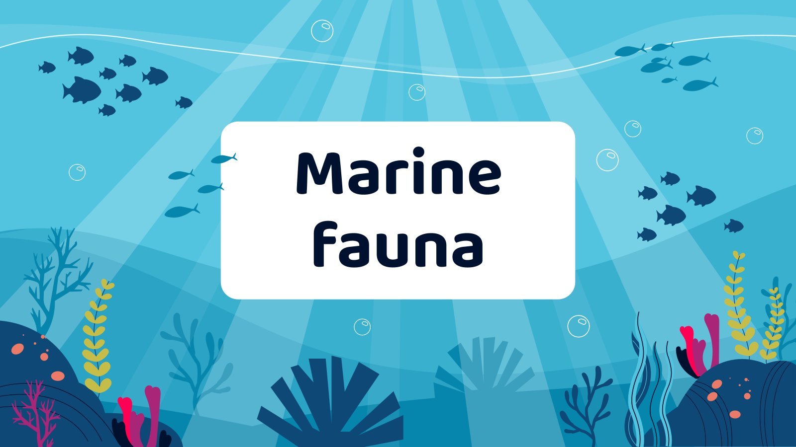0-marine-fauna.jpg